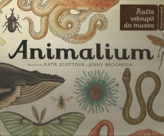 anymalium