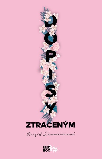 dopisy ztracenym_v